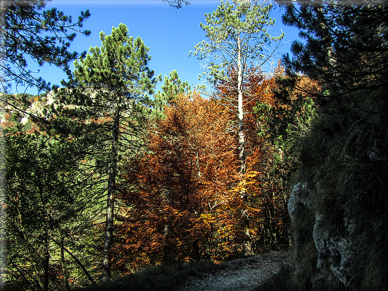 foto Mulatiera del Covolo